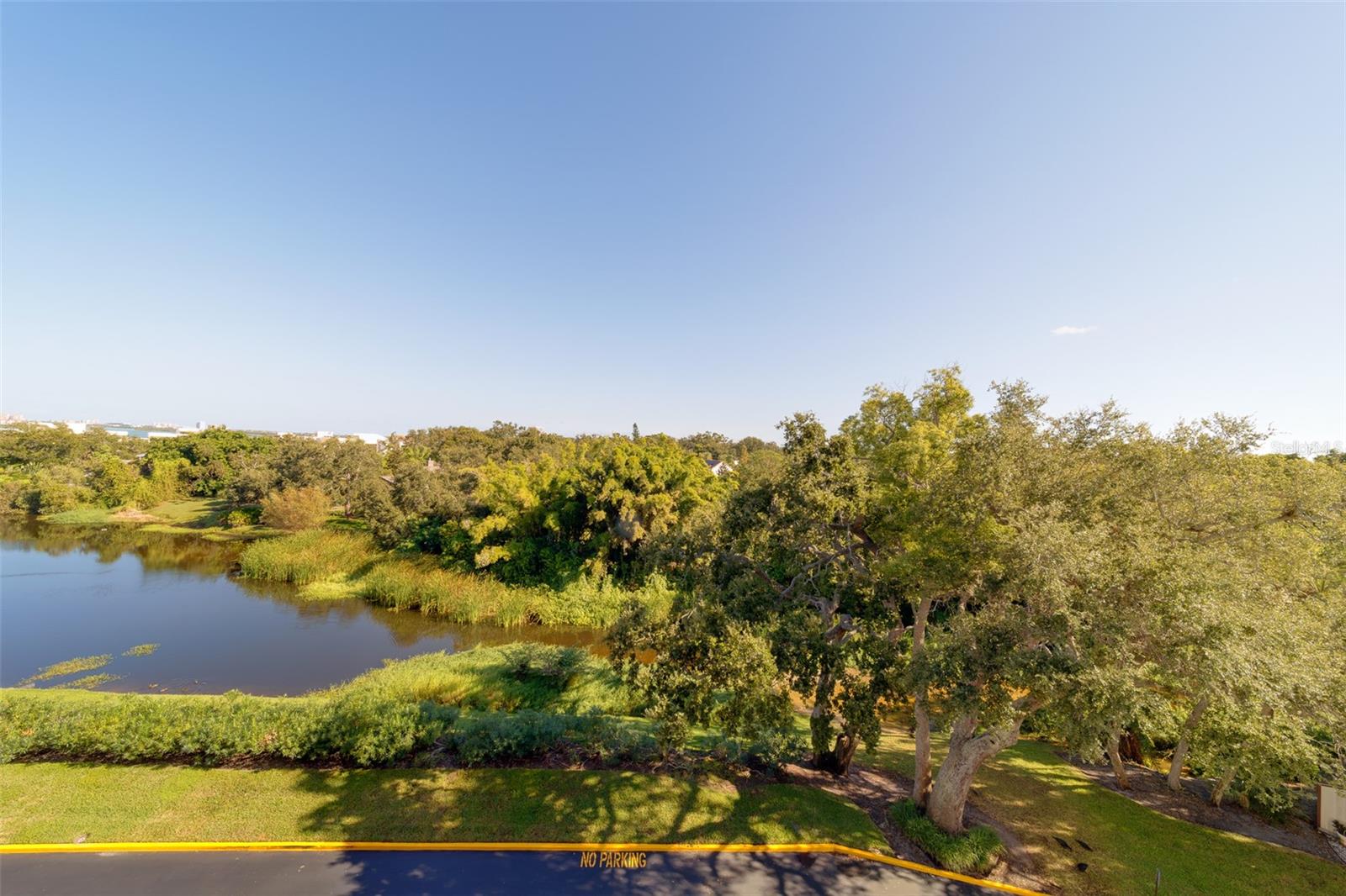 220 BELLEVIEW BLVD #504, BELLEAIR, FL, 33756