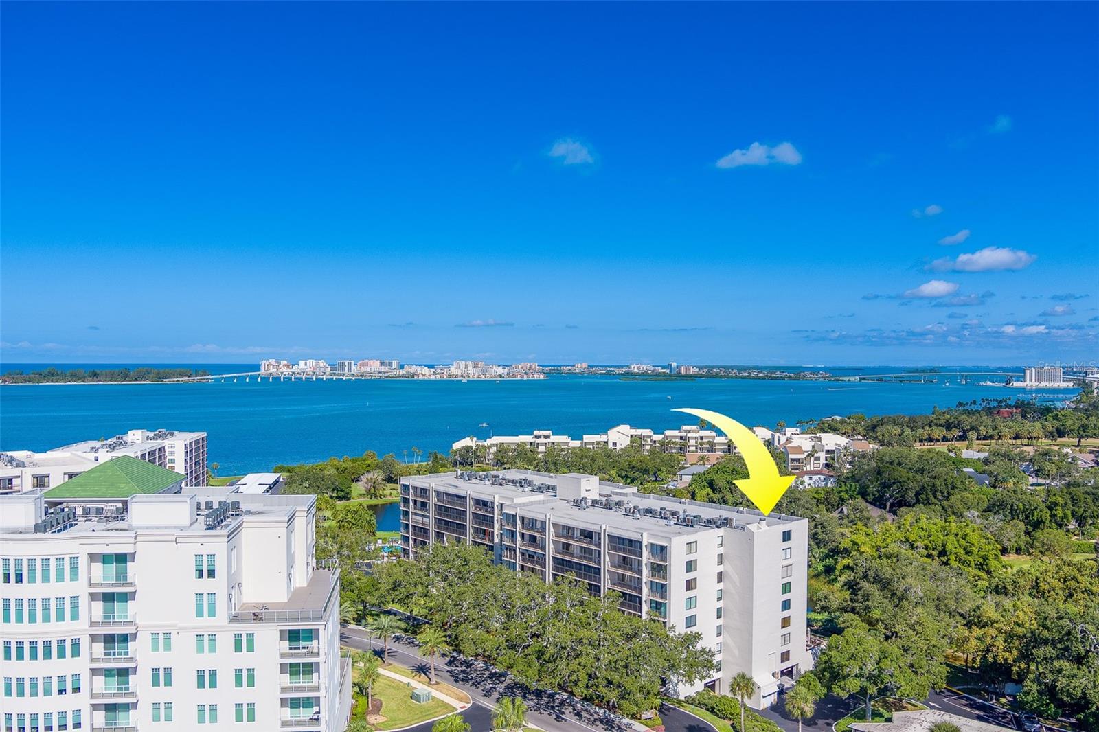 220 BELLEVIEW BLVD #504, BELLEAIR, FL, 33756