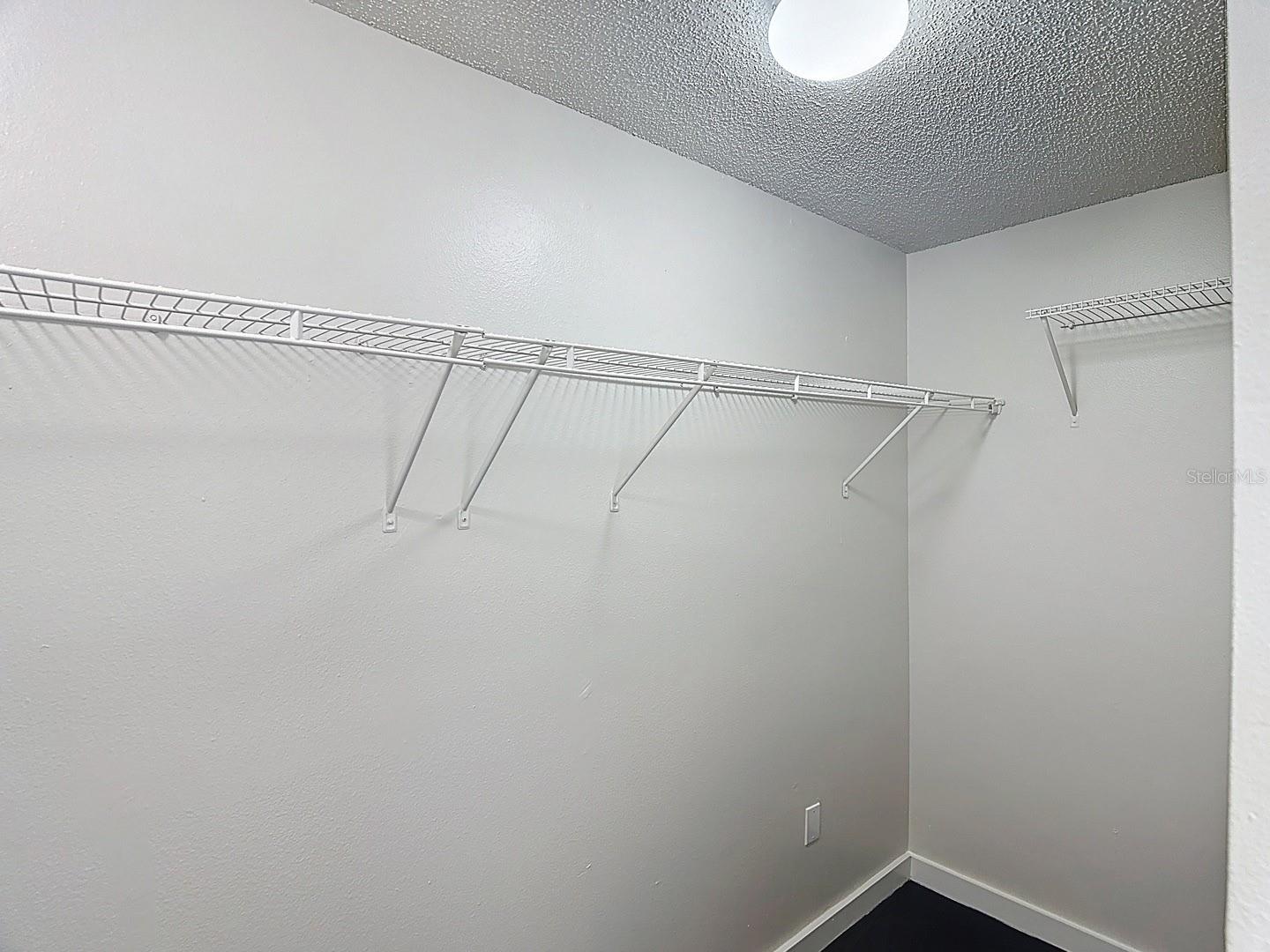 26800 AFFIRMED DR, WESLEY CHAPEL, FL, 33544