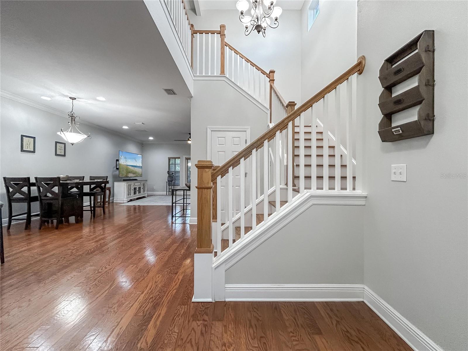 254 VALENCIA CIR, ST PETERSBURG, FL, 33716