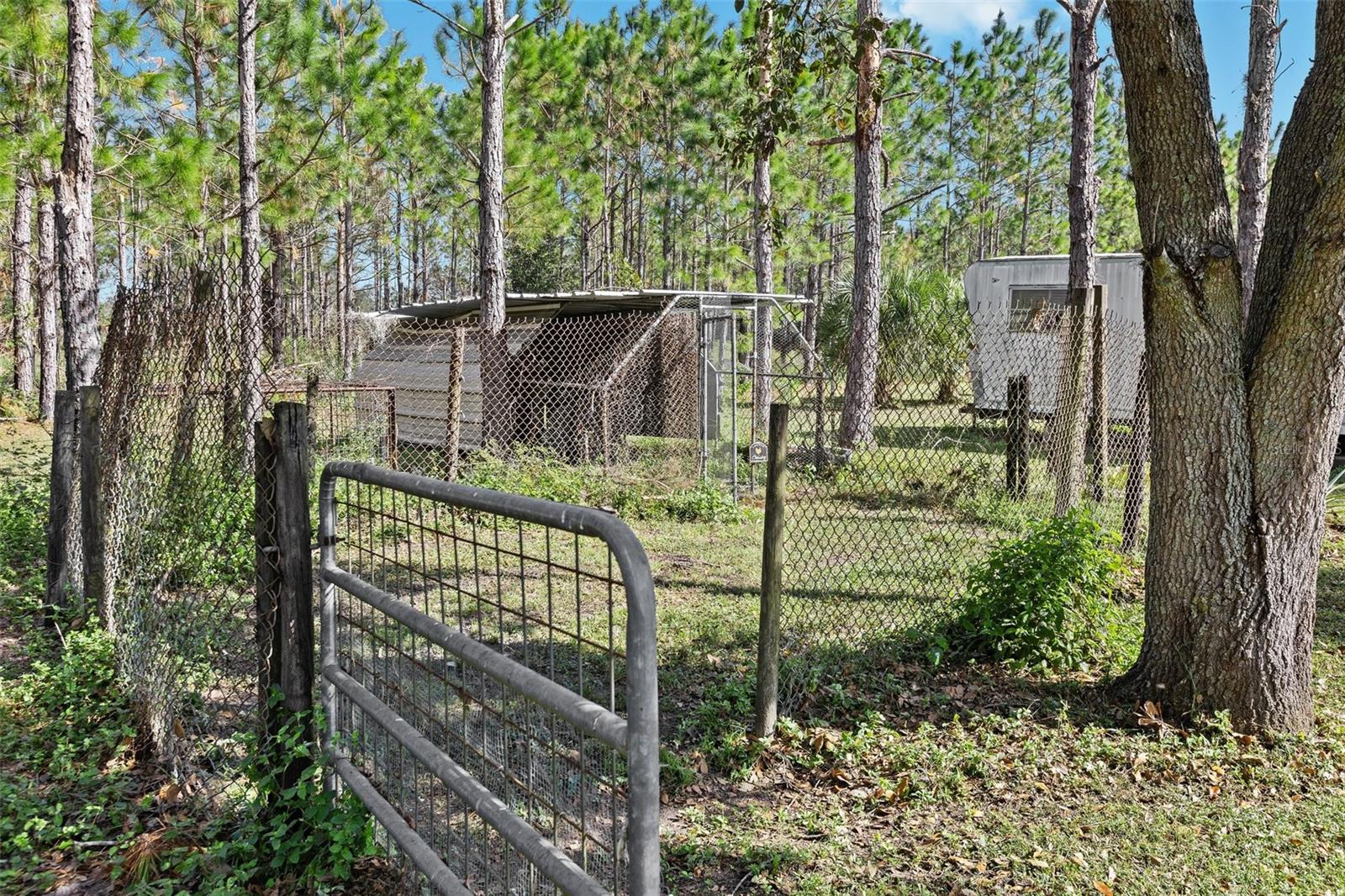 18105 BETHLEHEM RD, LITHIA, FL, 33547