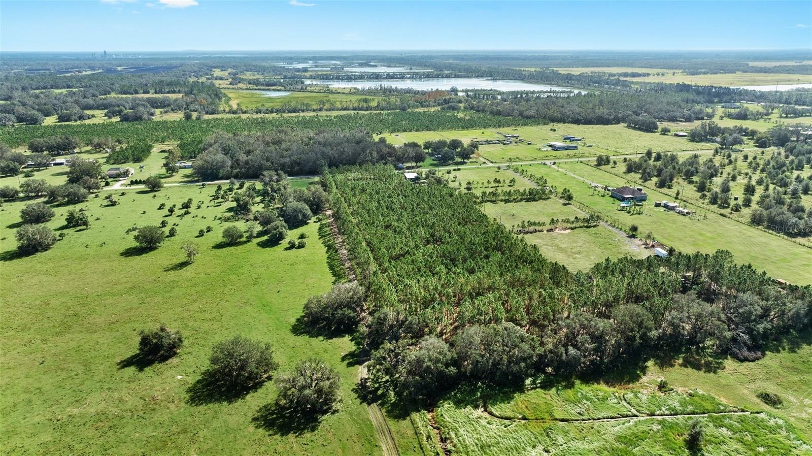 18105 BETHLEHEM RD, LITHIA, FL, 33547