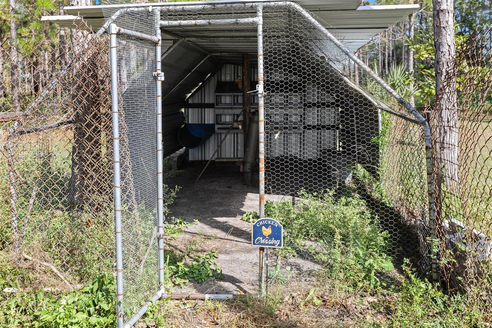 18105 BETHLEHEM RD, LITHIA, FL, 33547