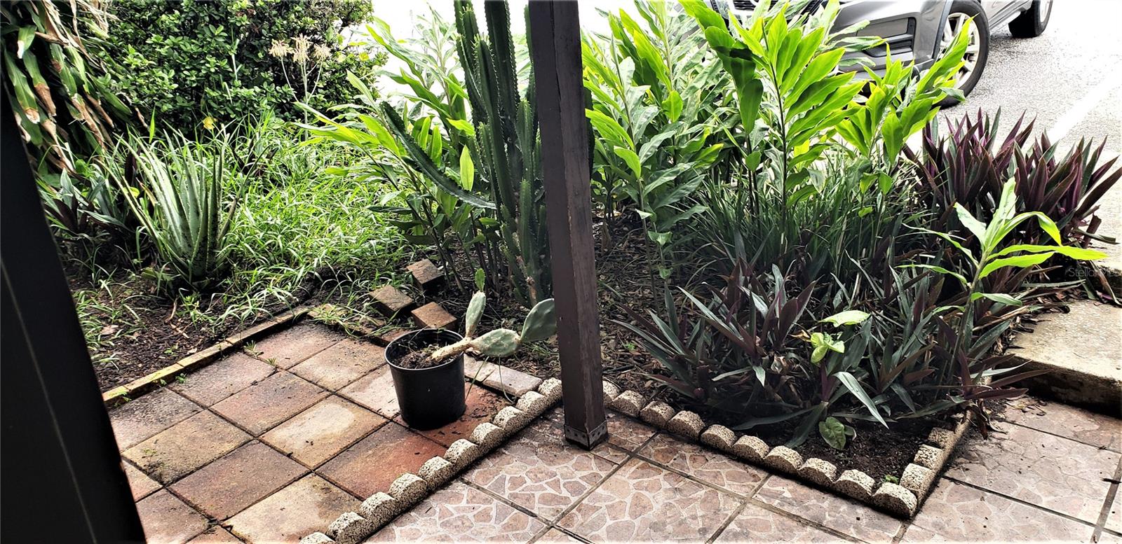 1836 N CRYSTAL LAKE DR #12, LAKELAND, FL, 33801