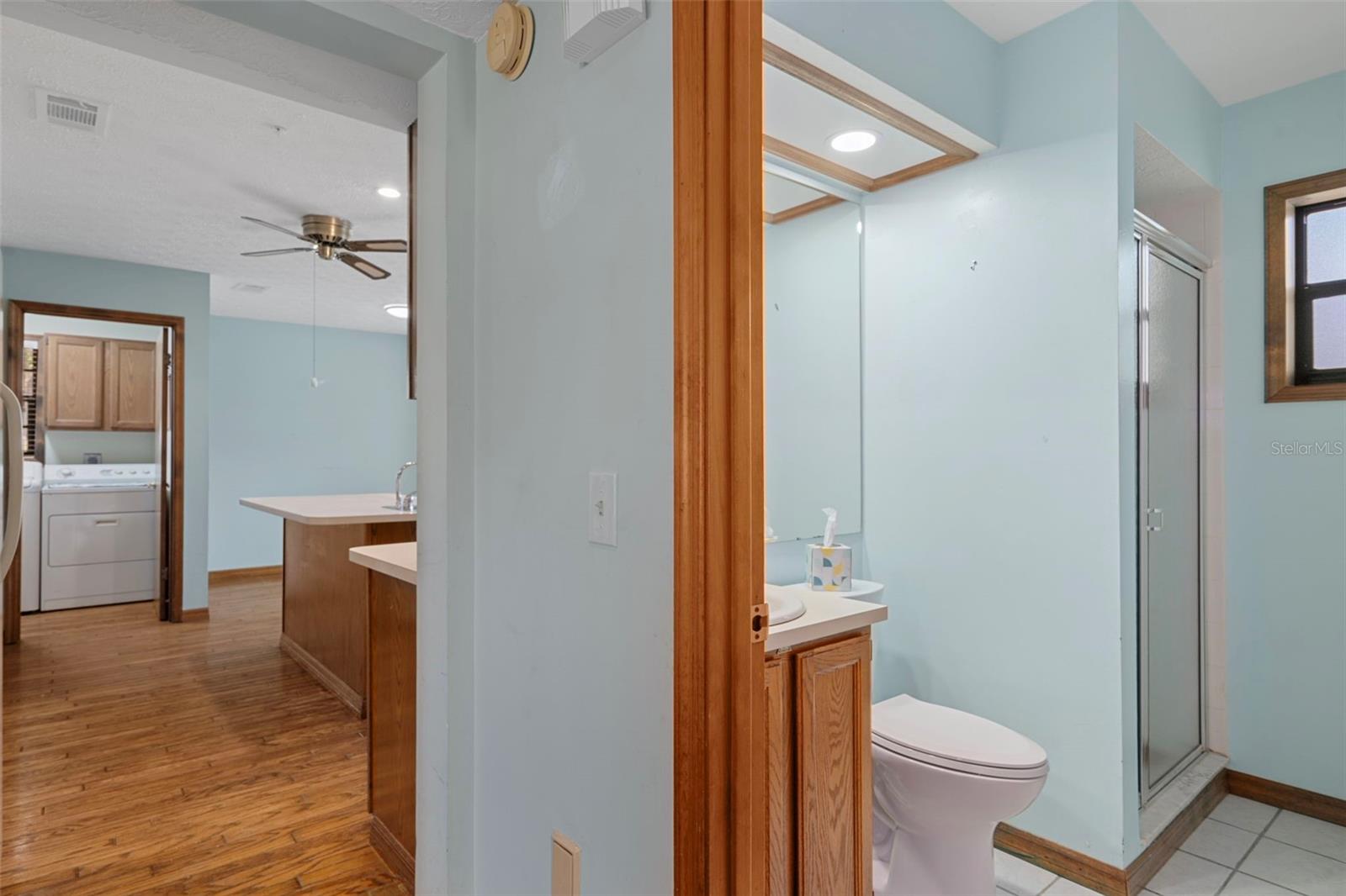 Lower Level Guest Bath with Walk-in Shower