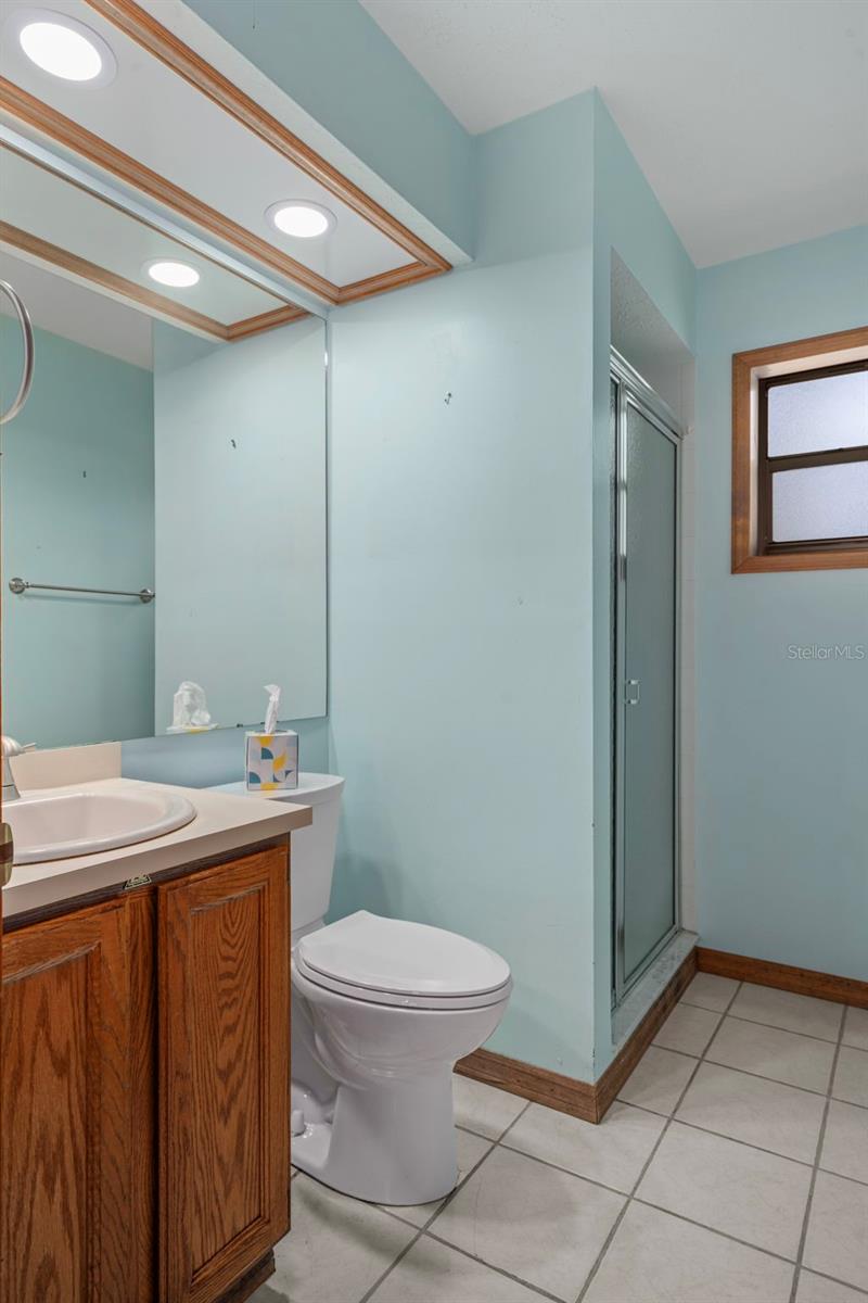 Lower Level Guest Bath with Walk-in-Shower