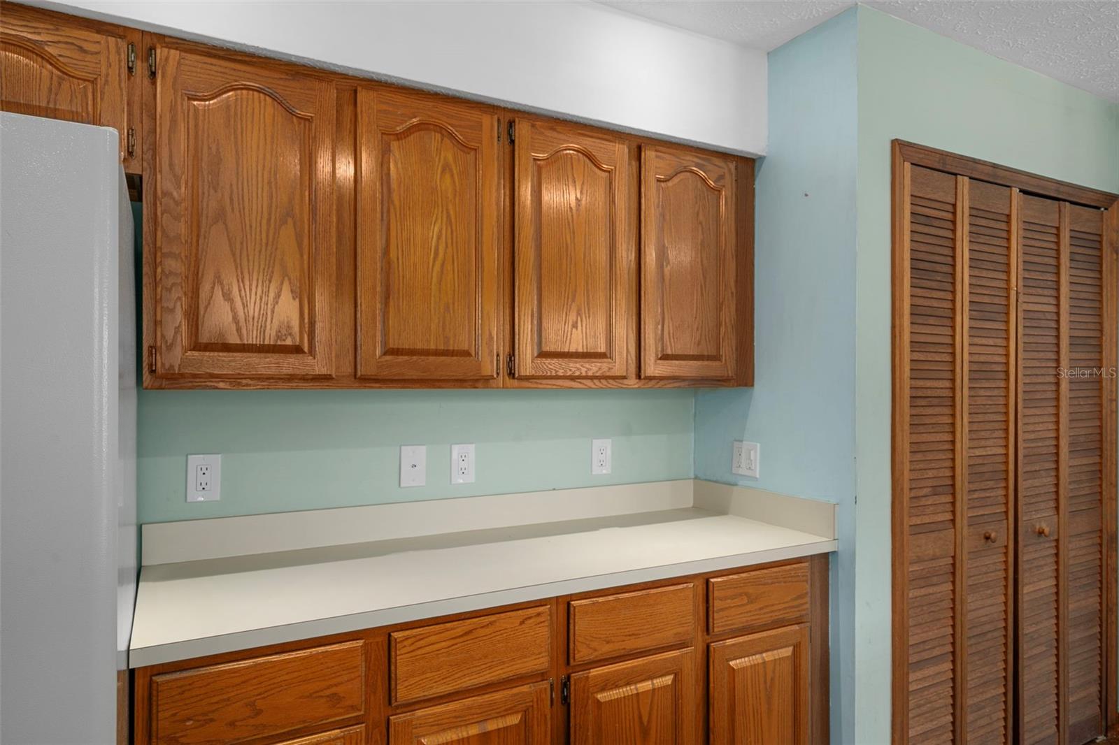 Kitchen with Ample Space and Pantry