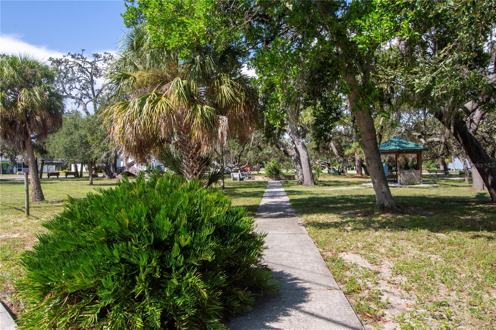 536 ONTARIO AVE, CRYSTAL BEACH, FL, 34681