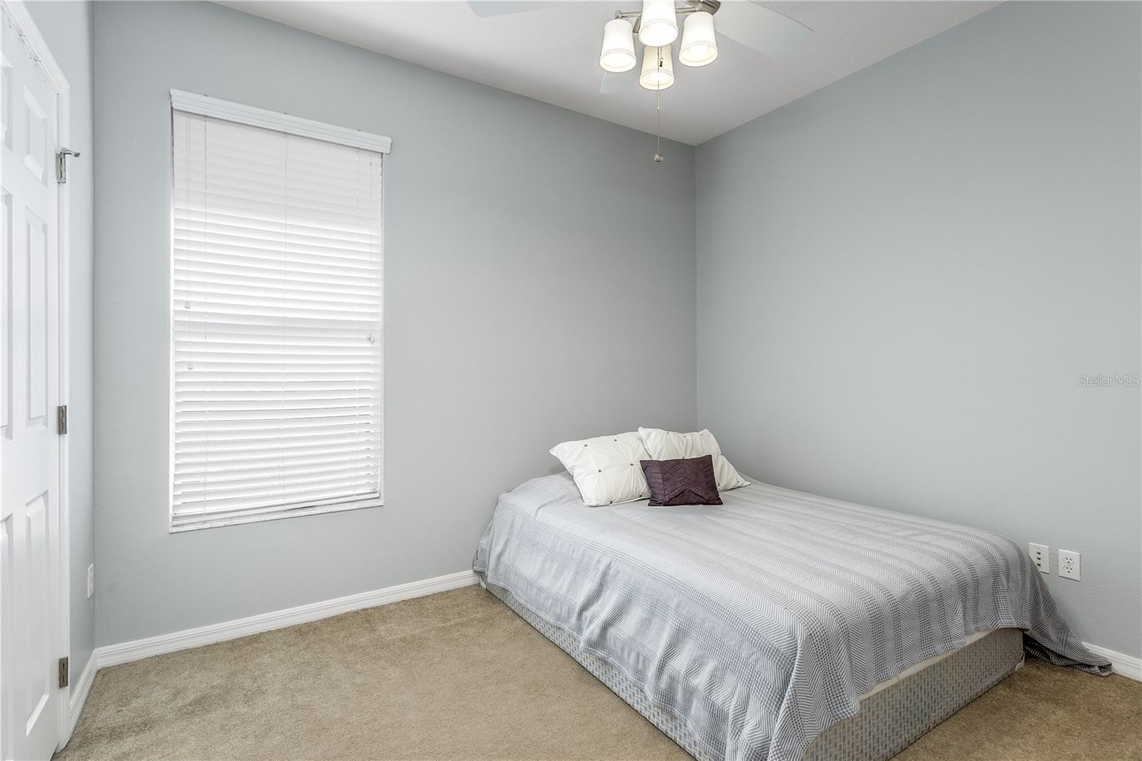 22454 WEEKS BLVD, LAND O LAKES, FL, 34639