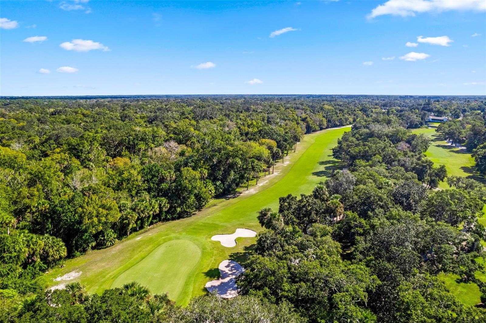 431 GLENEAGLES DR, NEW SMYRNA BEACH, FL, 32168