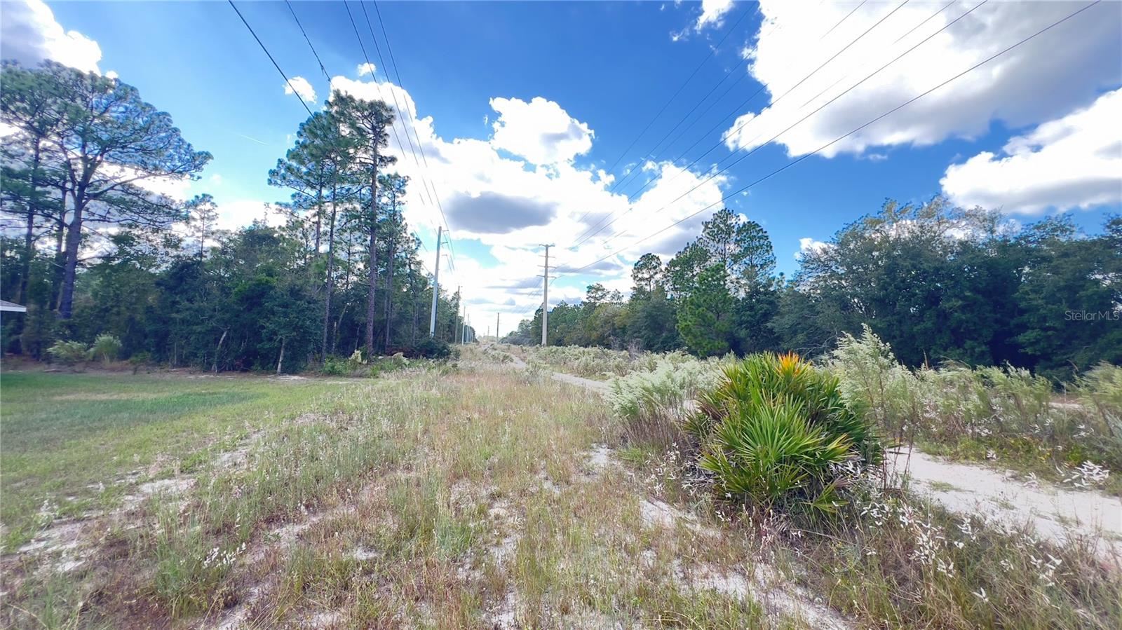 3709 W WILHELM ST, CITRUS SPRINGS, FL, 34433