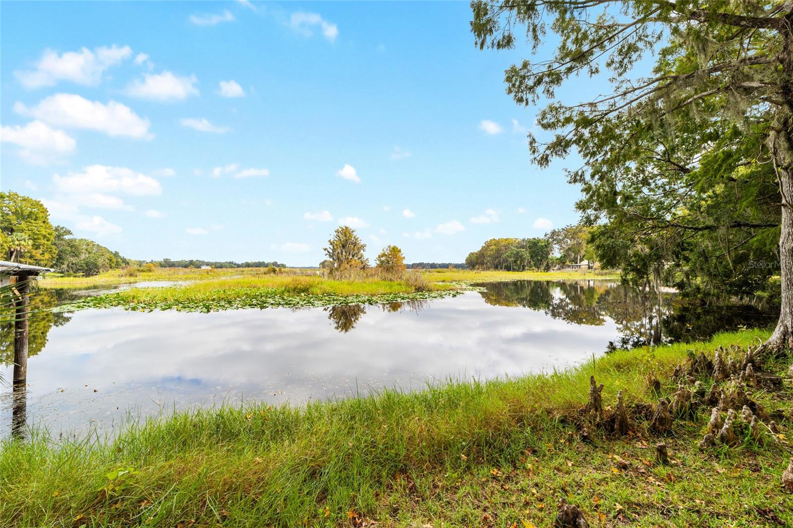 223 S NESBITT TER, INVERNESS, FL, 34450