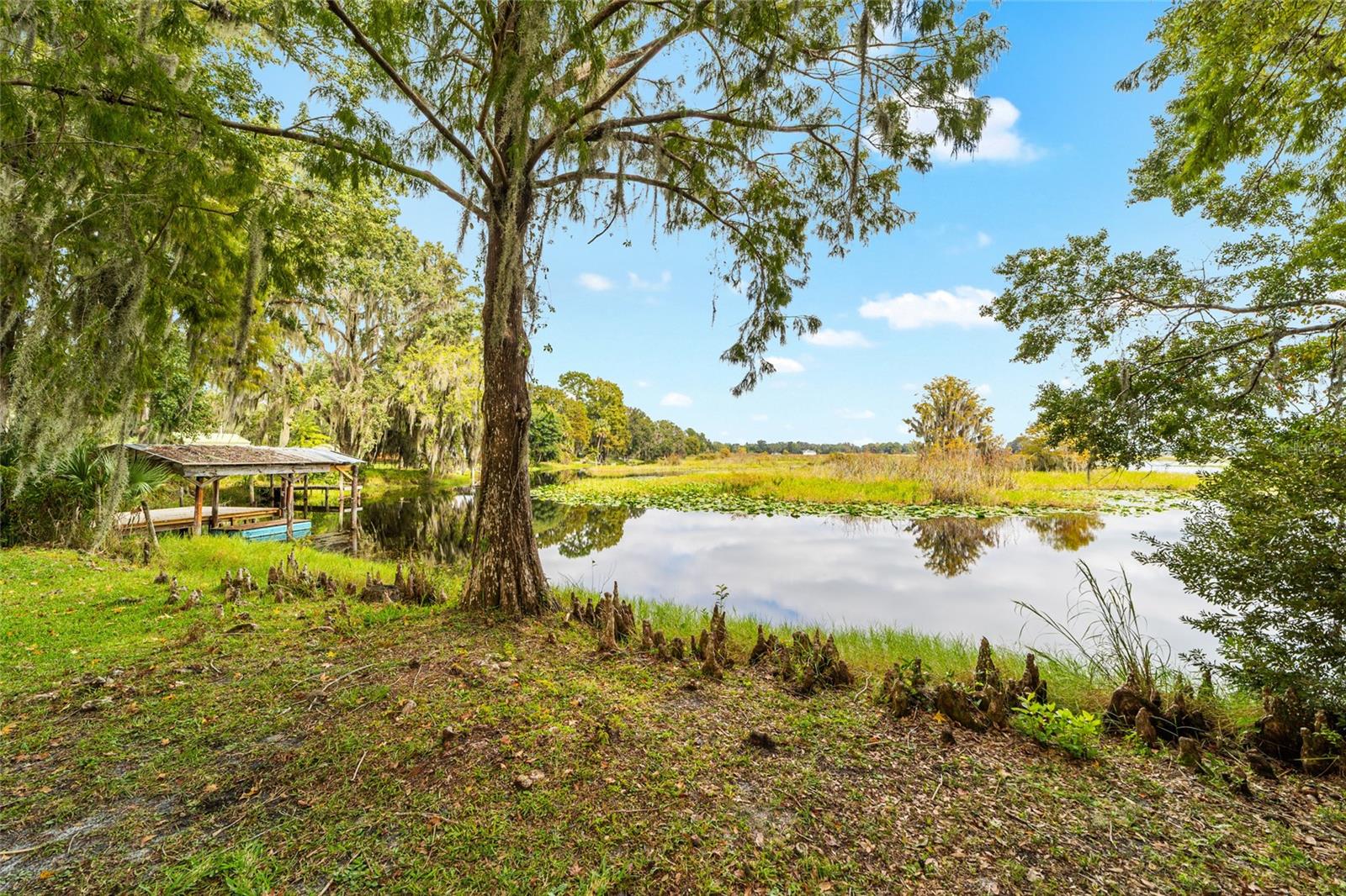 223 S NESBITT TER, INVERNESS, FL, 34450
