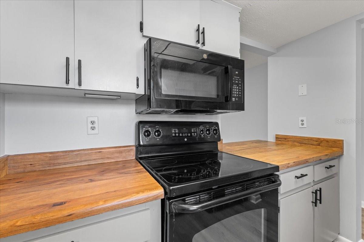 9519 FIELDVIEW CIR #9519, THONOTOSASSA, FL, 33592