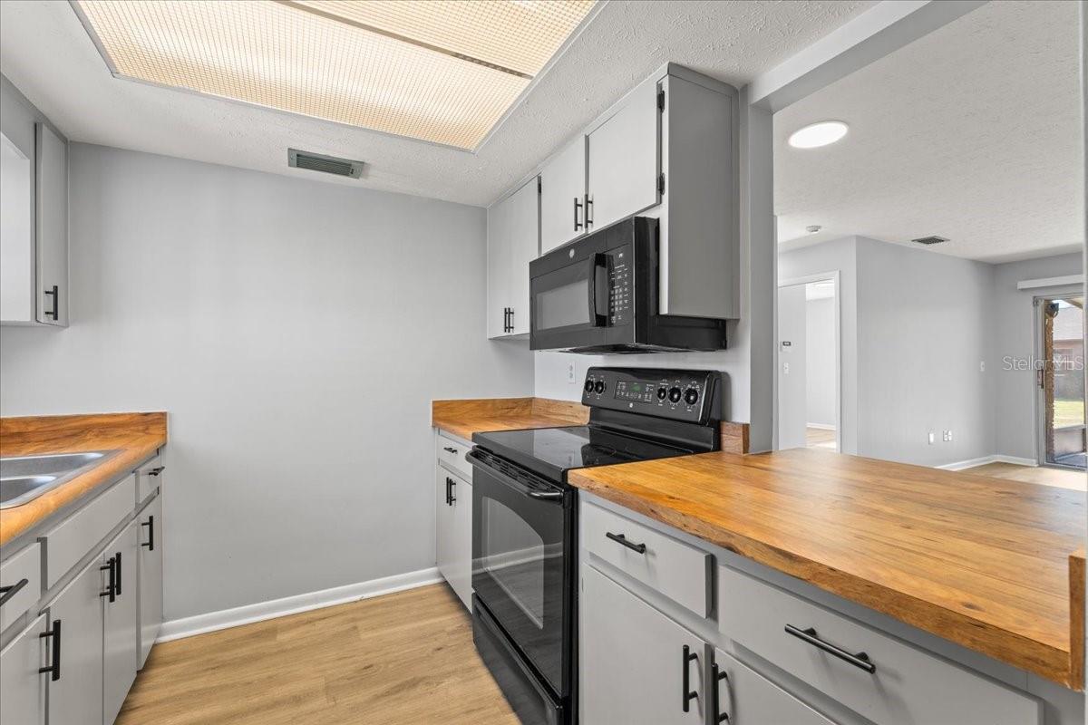 9519 FIELDVIEW CIR #9519, THONOTOSASSA, FL, 33592