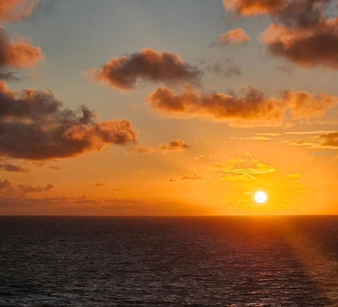 1591 SCOTT ST, CLEARWATER, FL, 33755