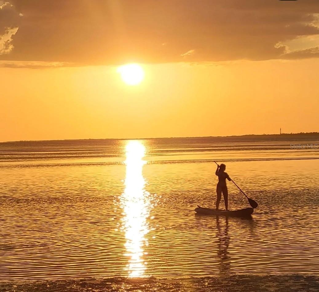 1591 SCOTT ST, CLEARWATER, FL, 33755