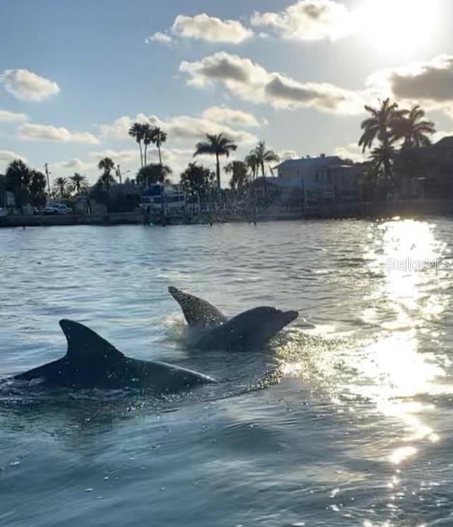 1591 SCOTT ST, CLEARWATER, FL, 33755