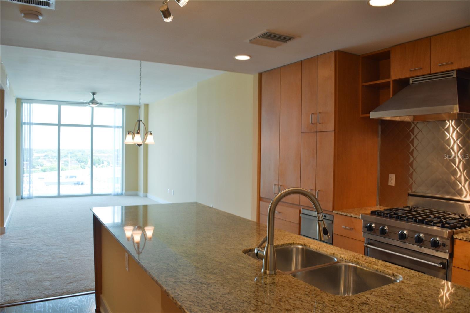 1208 E KENNEDY BLVD #724, TAMPA, FL, 33602