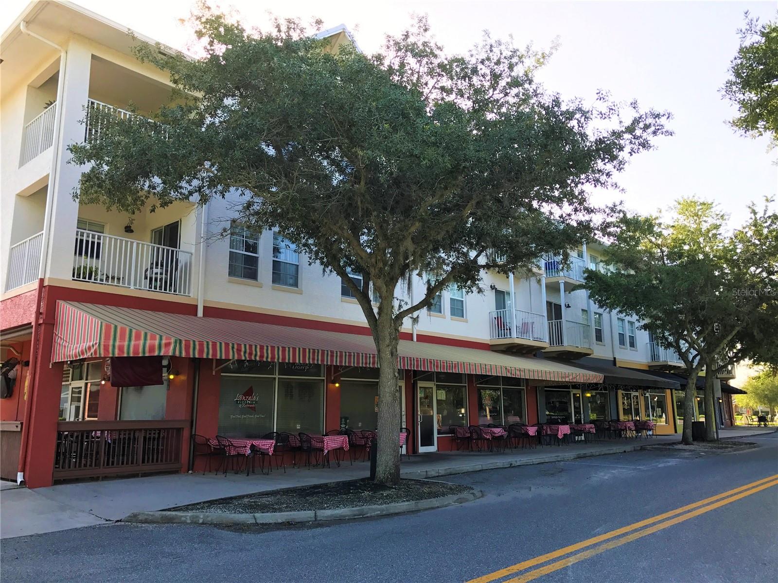 3351 COONTIE CT, NEW PORT RICHEY, FL, 34655