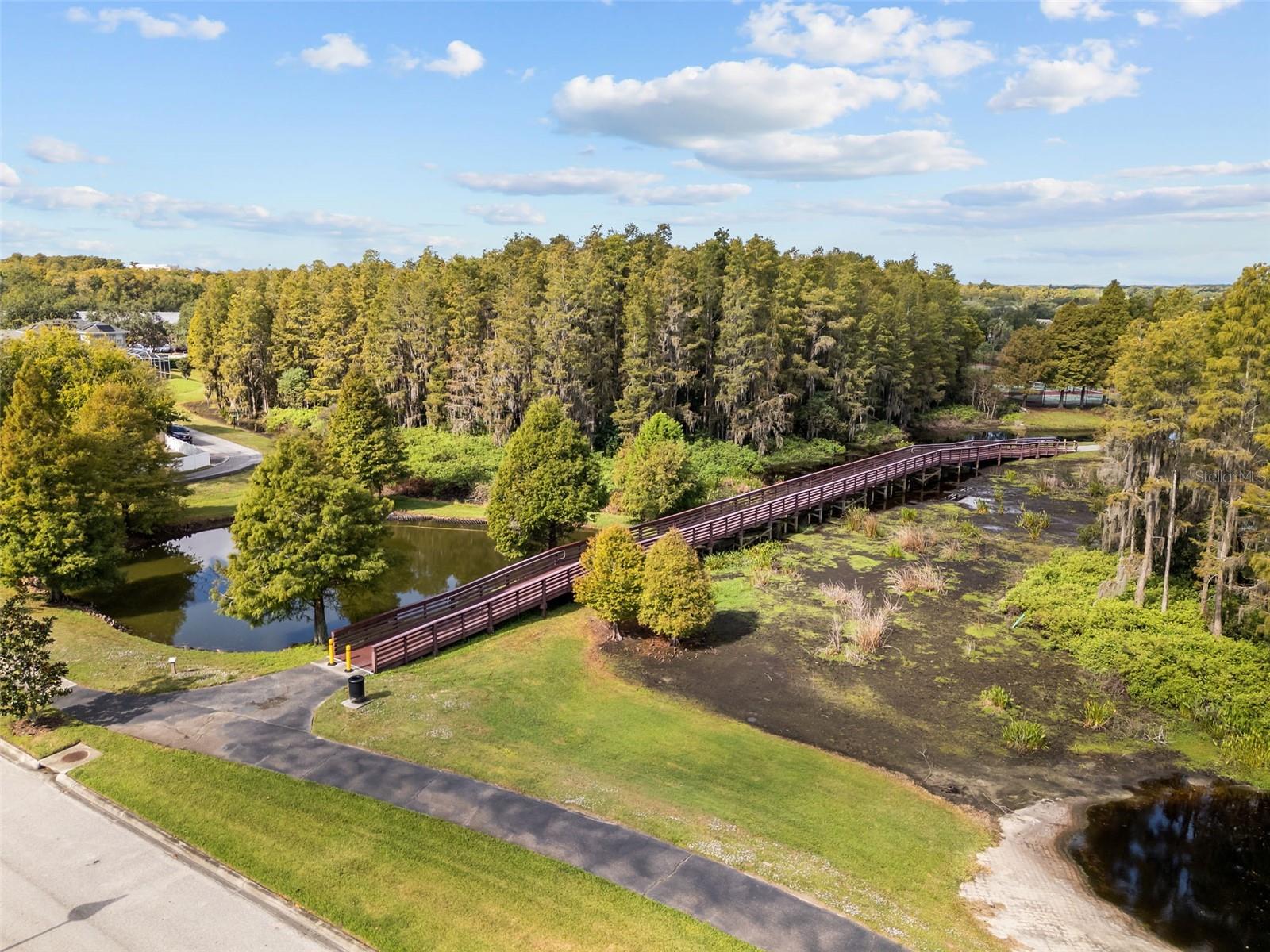 3351 COONTIE CT, NEW PORT RICHEY, FL, 34655