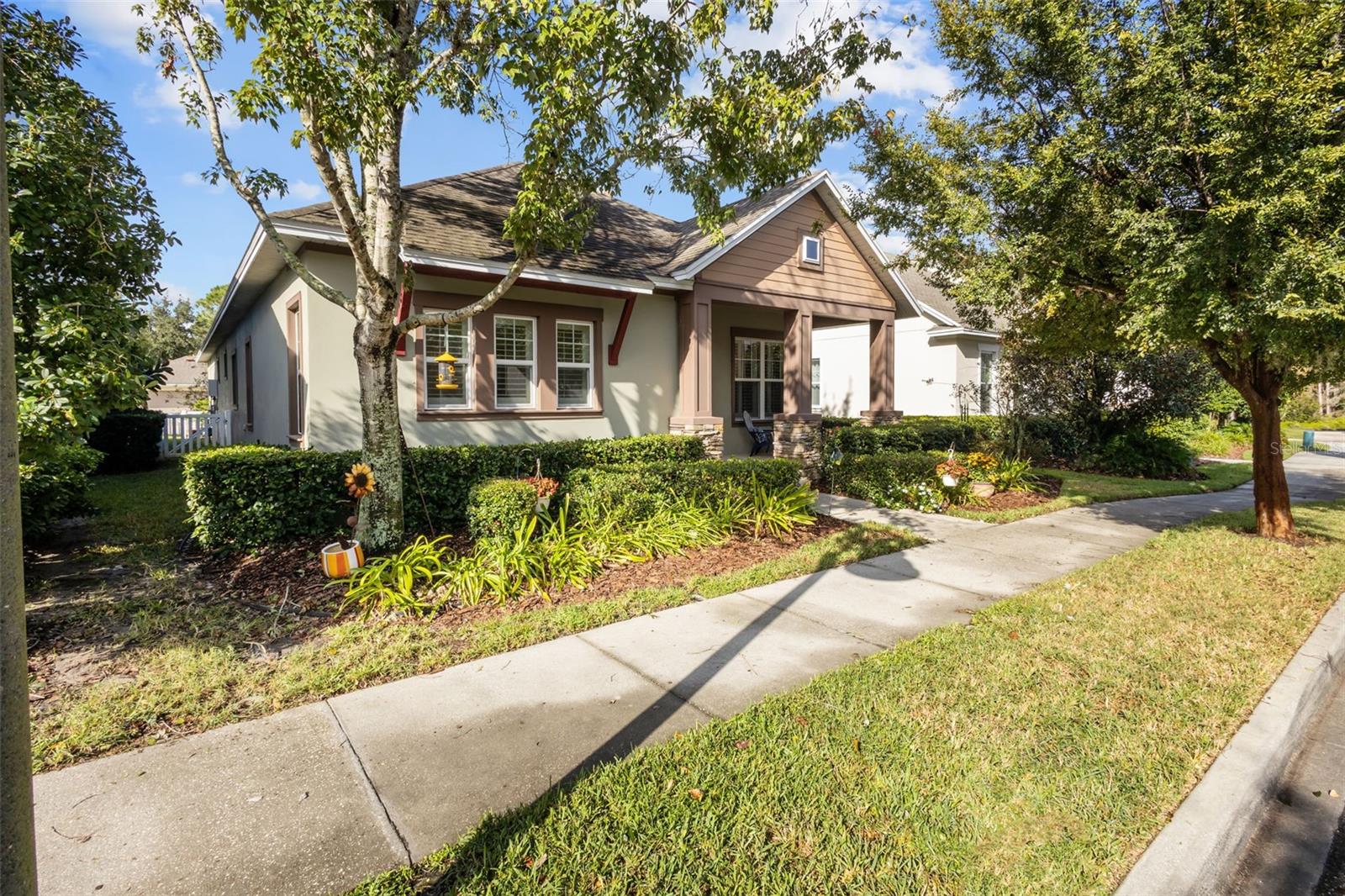 3351 COONTIE CT, NEW PORT RICHEY, FL, 34655
