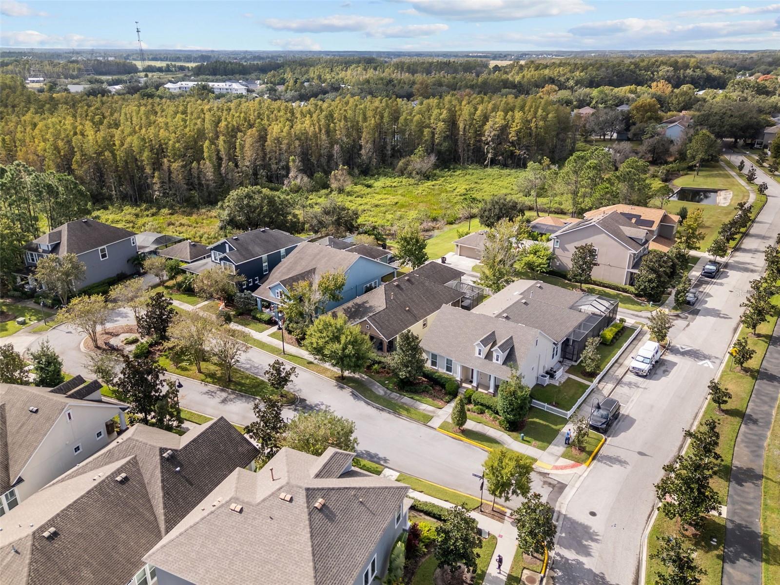 3351 COONTIE CT, NEW PORT RICHEY, FL, 34655