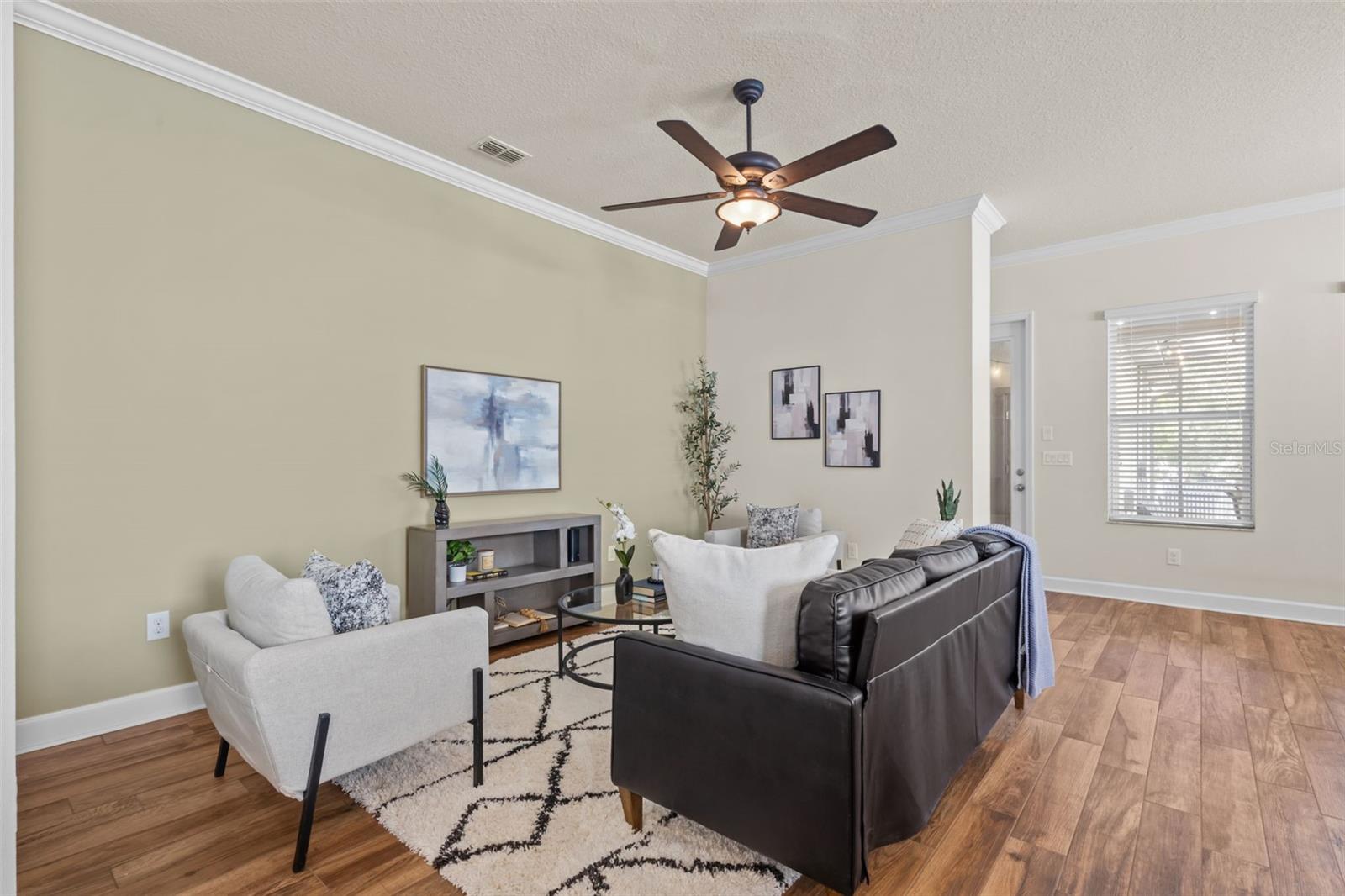 3351 COONTIE CT, NEW PORT RICHEY, FL, 34655