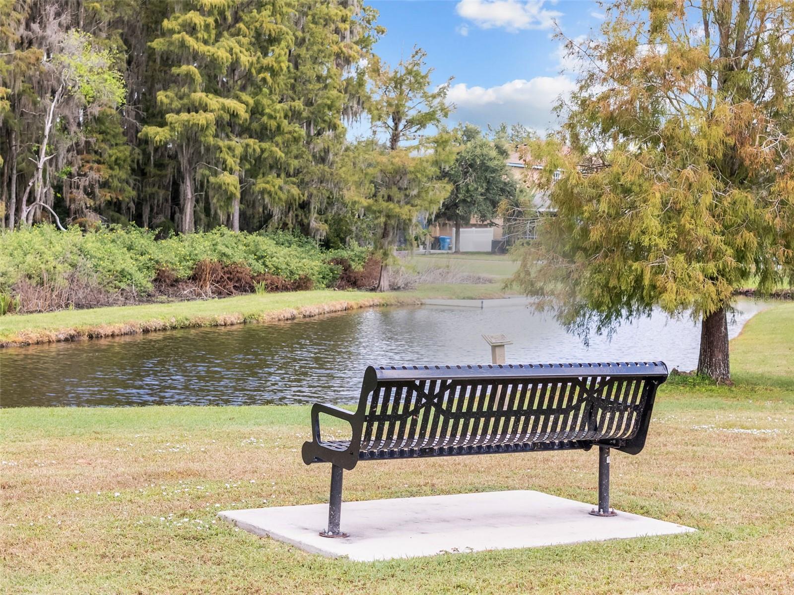 3351 COONTIE CT, NEW PORT RICHEY, FL, 34655