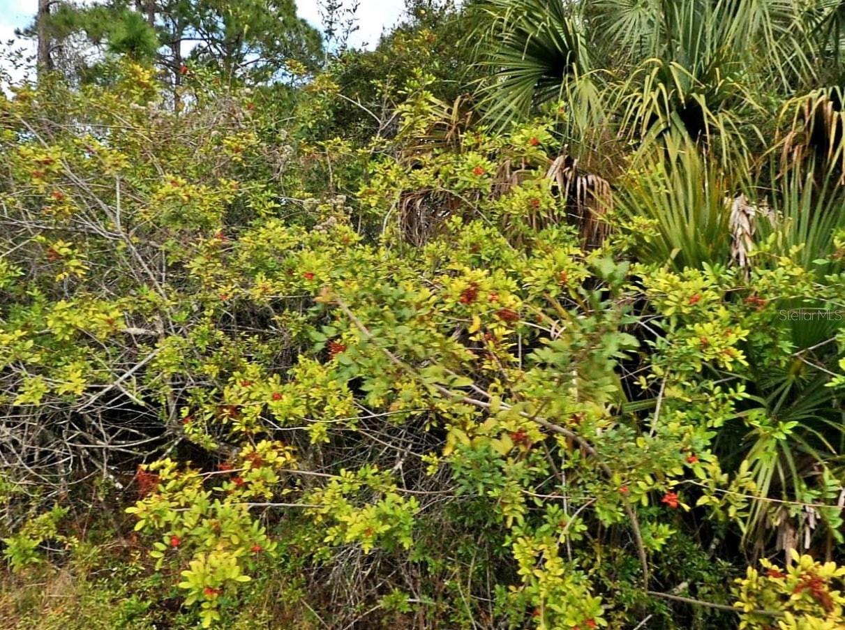 E HALLMARK BLVD, NORTH PORT, FL, 34288