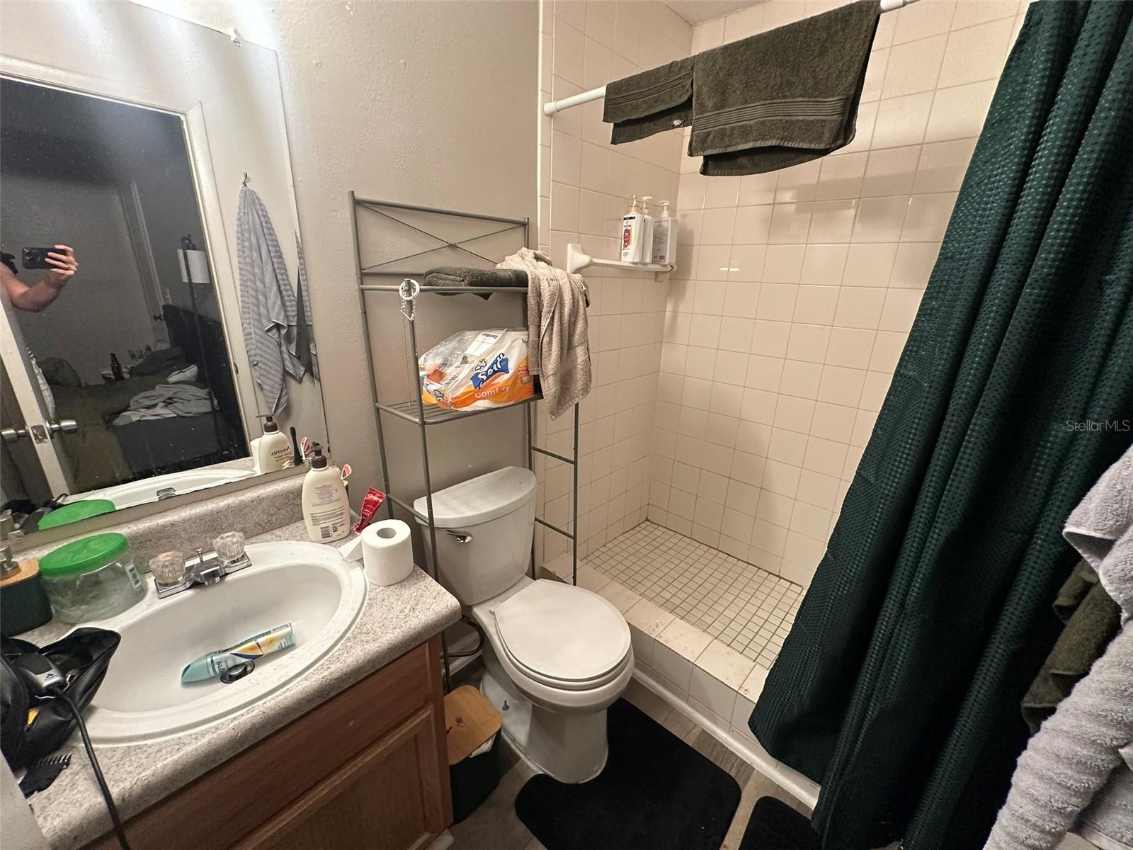 5112 SUNRIDGE PALMS DR, TAMPA, FL, 33617