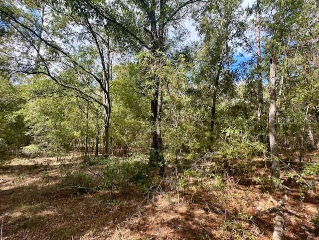 NW 13TH TER, BELL, FL, 32619