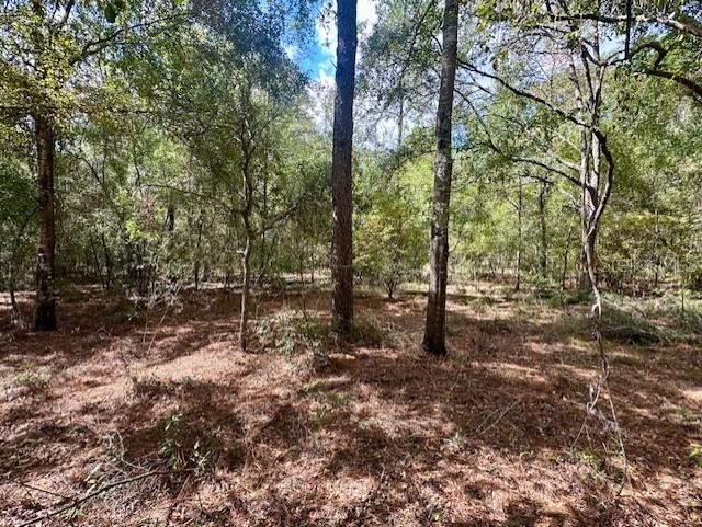 NW 13TH TER, BELL, FL, 32619