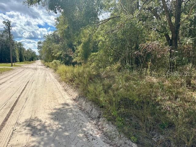 NW 13TH TER, BELL, FL, 32619