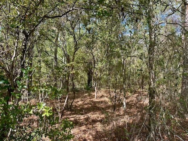 NW 13TH TER, BELL, FL, 32619