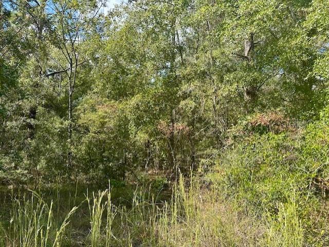 NW 13TH TER, BELL, FL, 32619