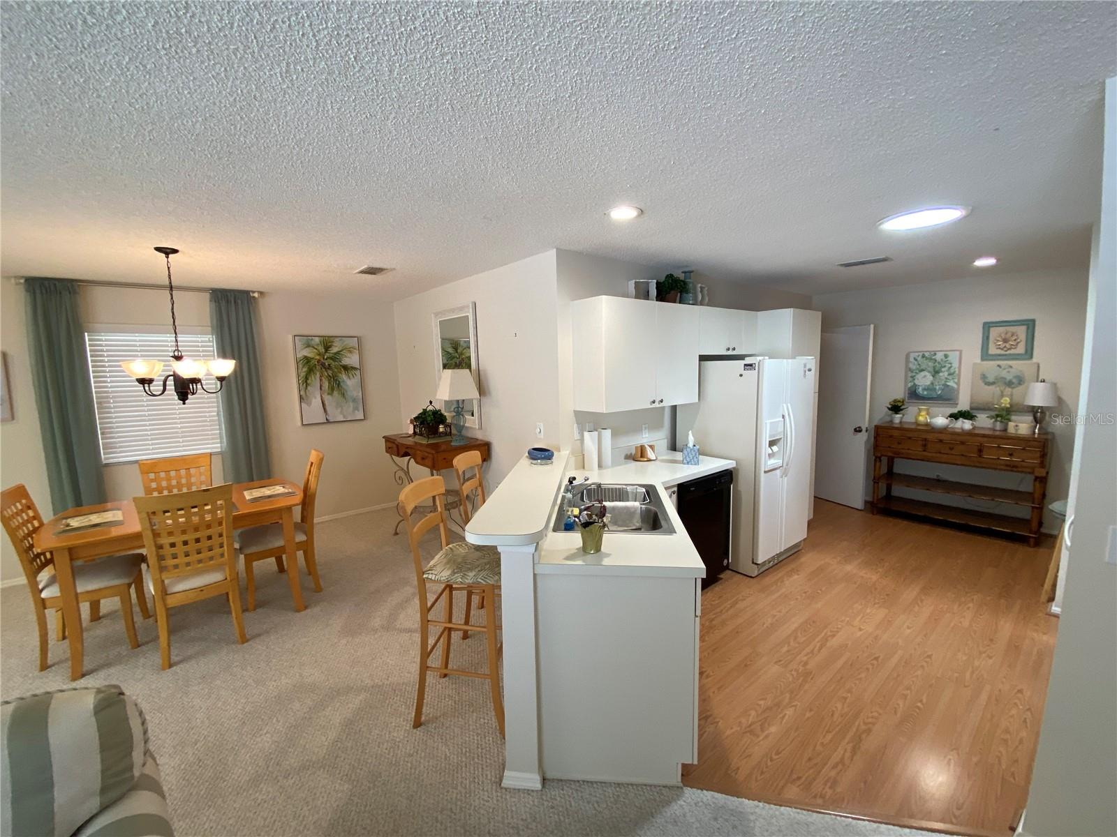 1672 DURAN DR, THE VILLAGES, FL, 32162