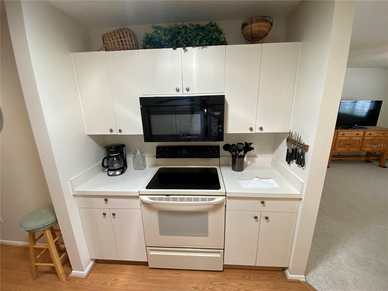 1672 DURAN DR, THE VILLAGES, FL, 32162