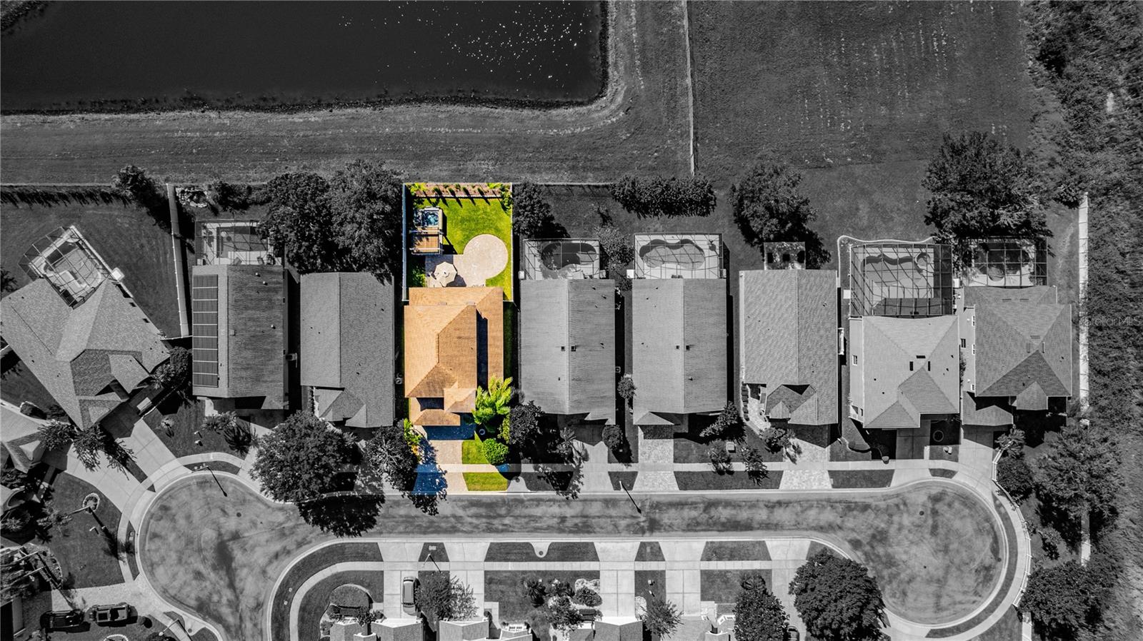 9827 PECKY CYPRESS WAY, ORLANDO, FL, 32836