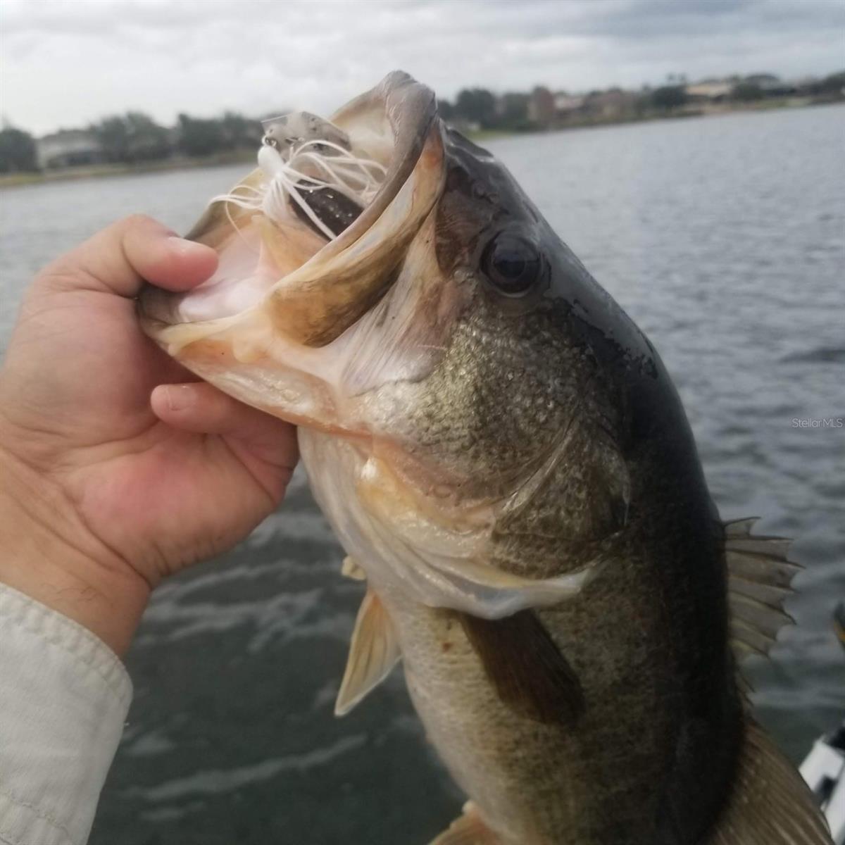 5426 GEMGOLD CT, WINDERMERE, FL, 34786