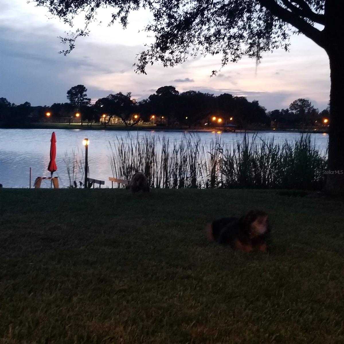 5426 GEMGOLD CT, WINDERMERE, FL, 34786