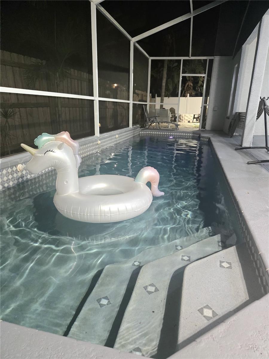 28739 RALEIGH PL, WESLEY CHAPEL, FL, 33545