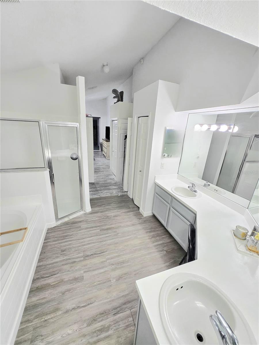 28739 RALEIGH PL, WESLEY CHAPEL, FL, 33545