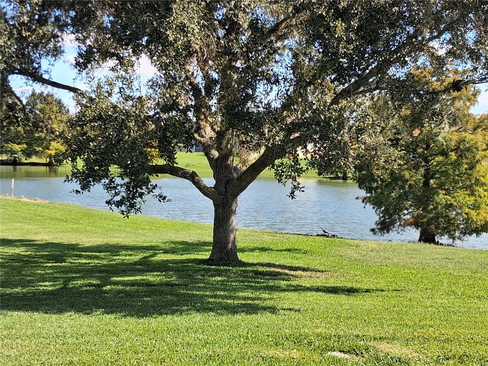 10255 DORY DR #1, OXFORD, FL, 34484