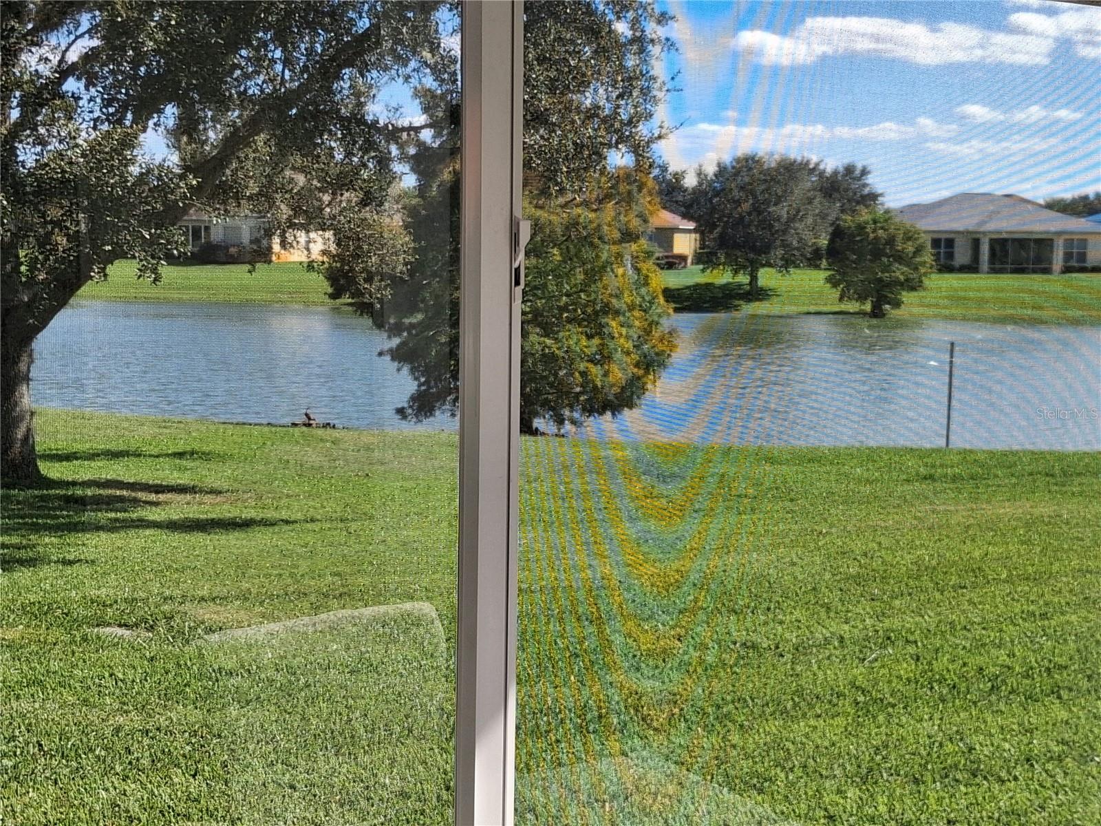 10255 DORY DR #1, OXFORD, FL, 34484