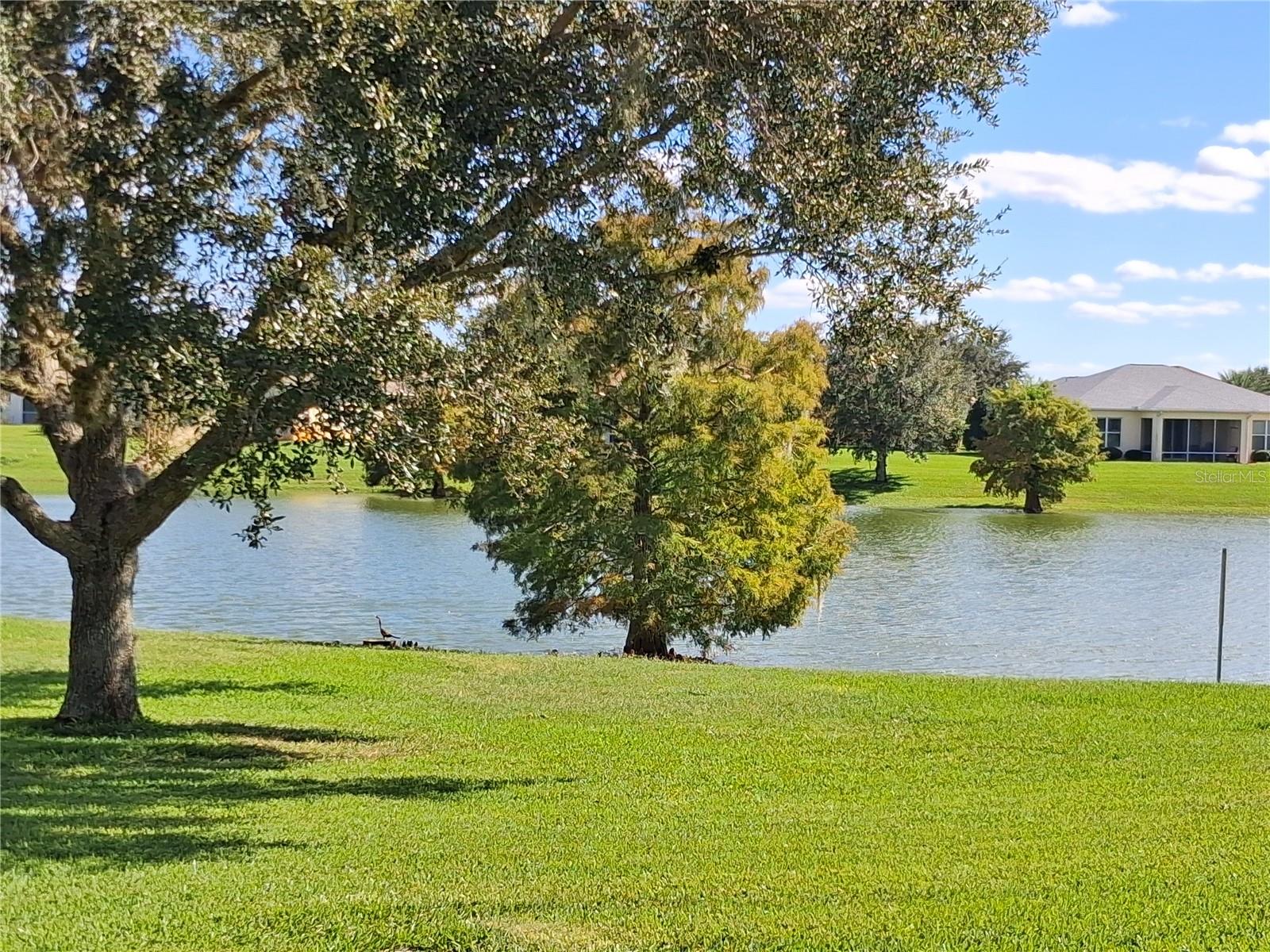 10255 DORY DR #1, OXFORD, FL, 34484