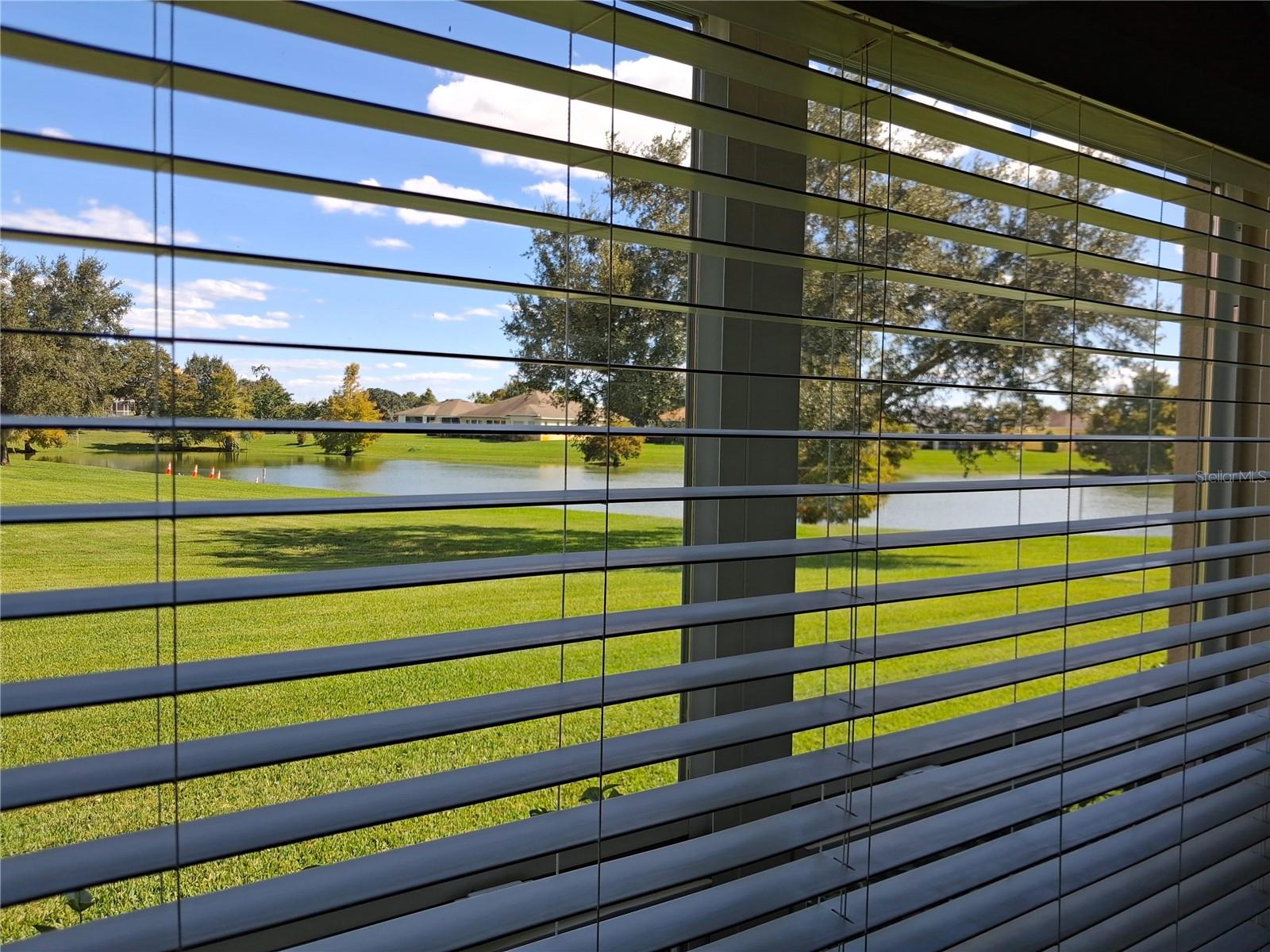 10255 DORY DR #1, OXFORD, FL, 34484