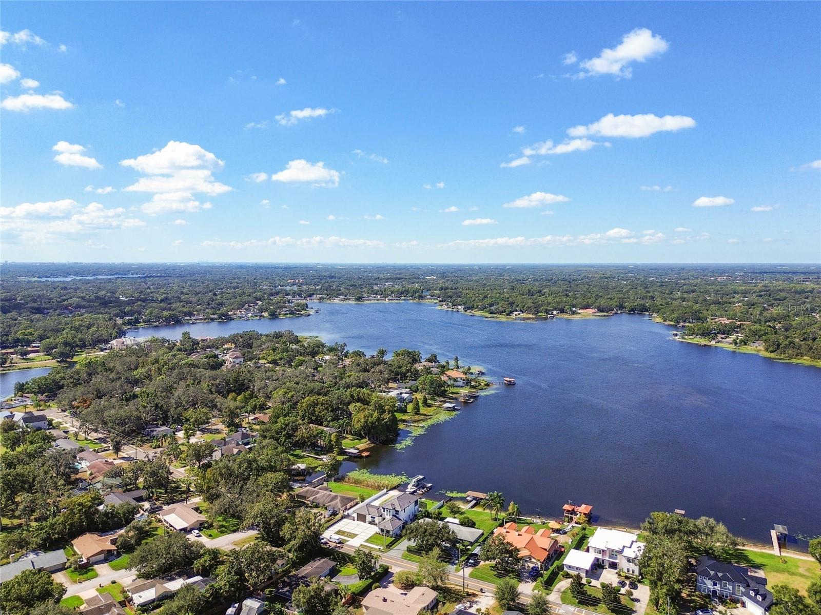 14906 N ROME AVE, TAMPA, FL, 33613