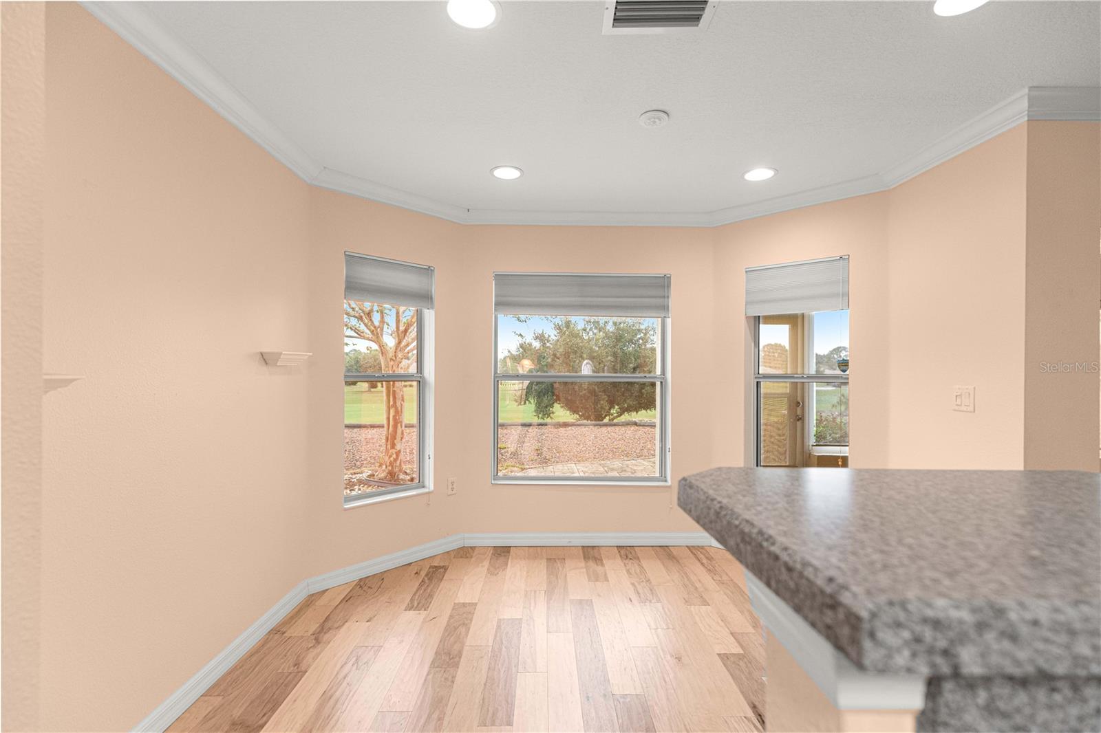 9119 SW 99TH COURT RD, OCALA, FL, 34481