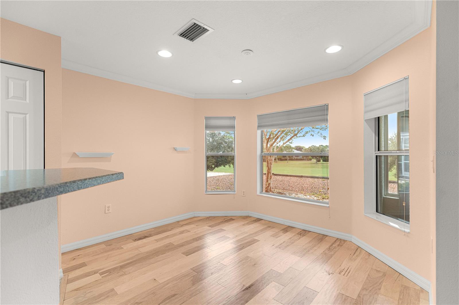 9119 SW 99TH COURT RD, OCALA, FL, 34481